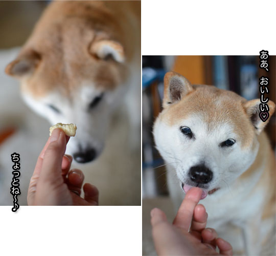 1日ブログ15.jpg