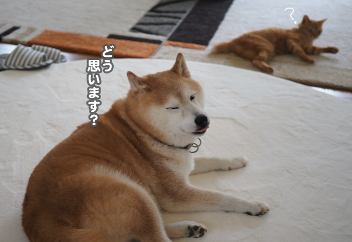 17日夕ブログ８