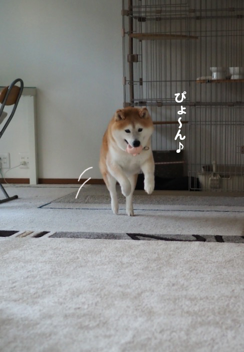 14日夕ブログ５