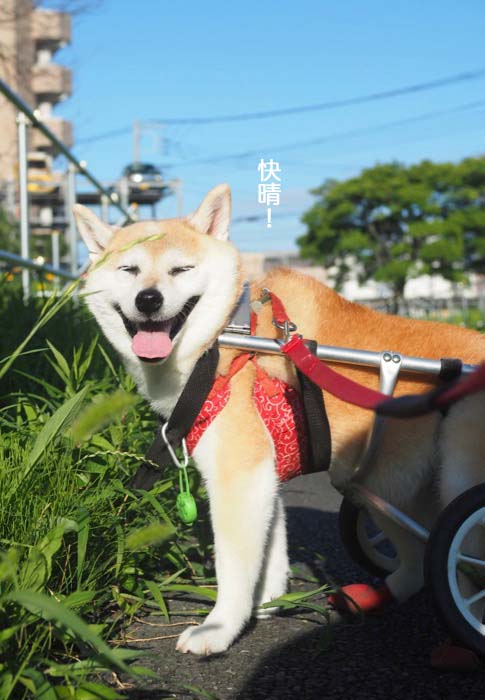 17日ブログ２