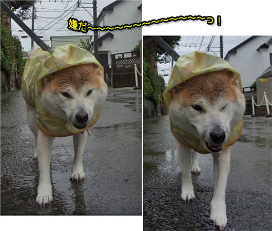 23日ブログ4.jpg