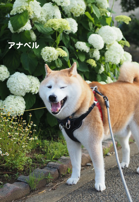 13日夕ブログ７