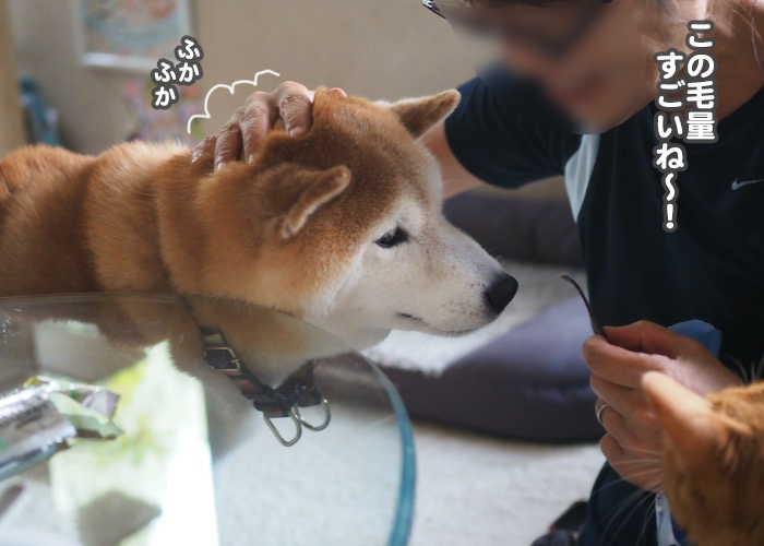 18日夕ブログ12