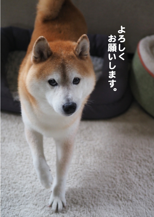 13日ブログ５