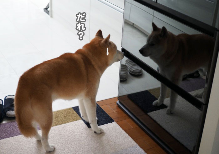 4日午前ブログ２