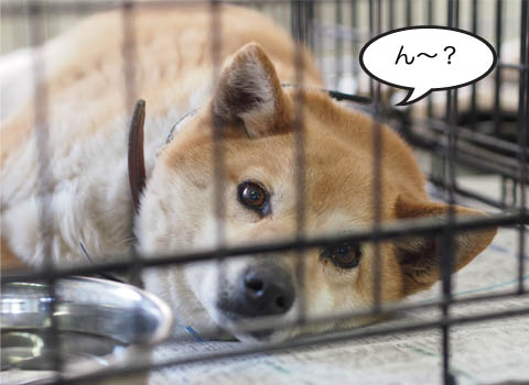 30日ブログ8.jpg