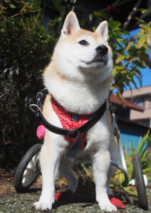 10日ブログ２