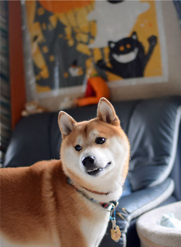 26日ブログ3.jpg