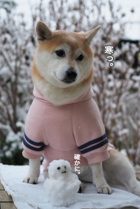 6日夜ブログ１２