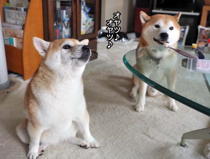 2日夜ブログ６