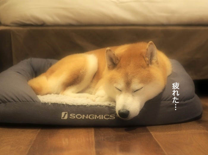15日夜ブログ４