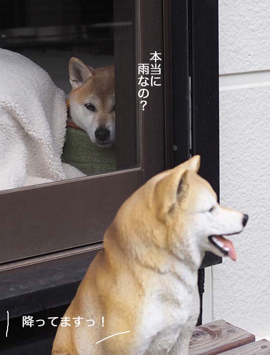 31日ブログ4