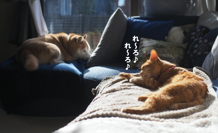 24日ブログ３