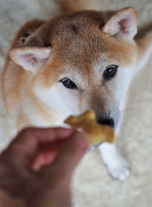5日ブログ９