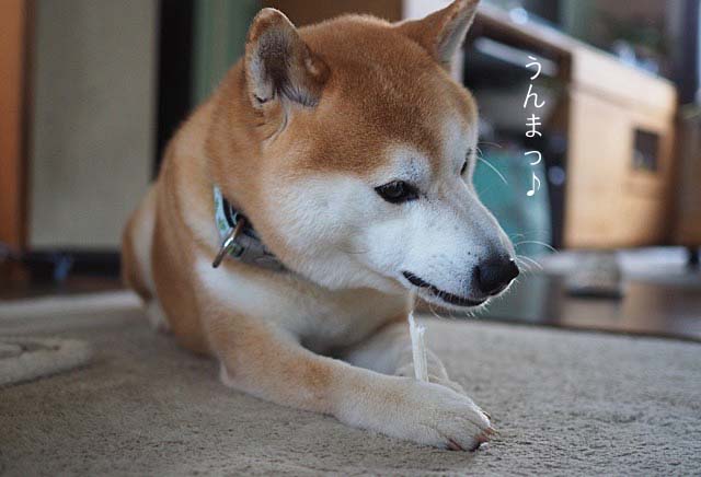 12日ブログ4