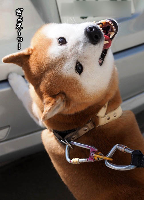14日ブログ１１