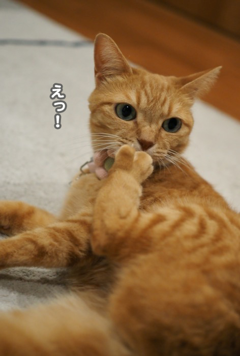 9日ブログ１