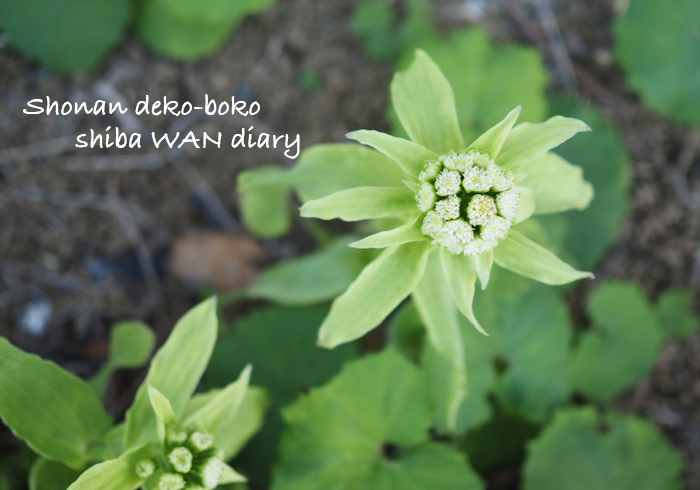29日ブログ１