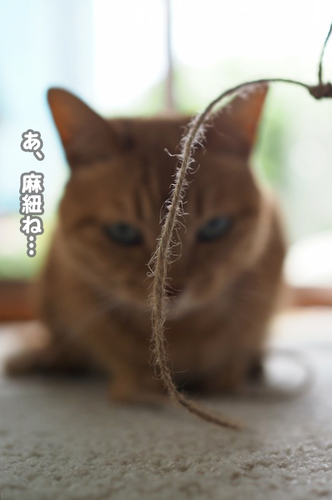 24日夕ブログ２