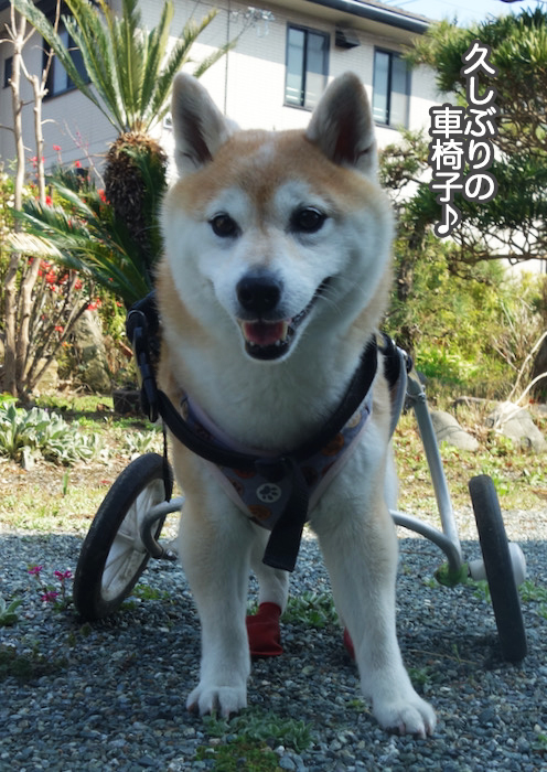 24日夜ブログ４