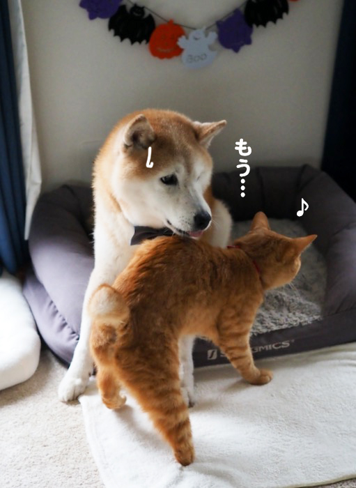 23日ブログ5