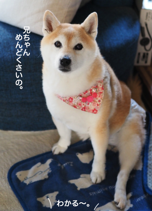 8日夜ブログ３