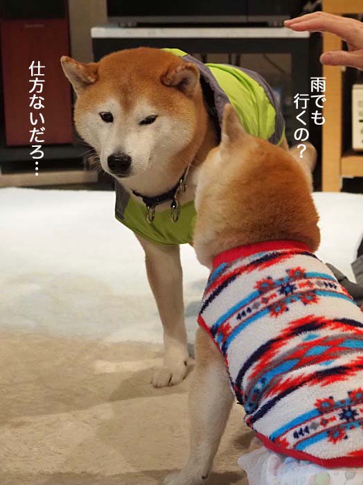 19日ブログ３