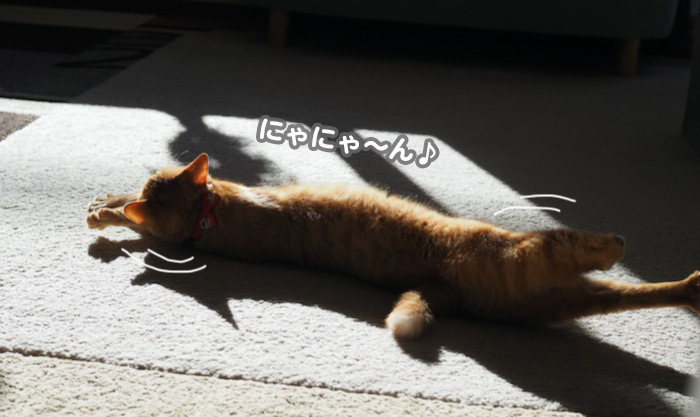 12日夕ブログ５