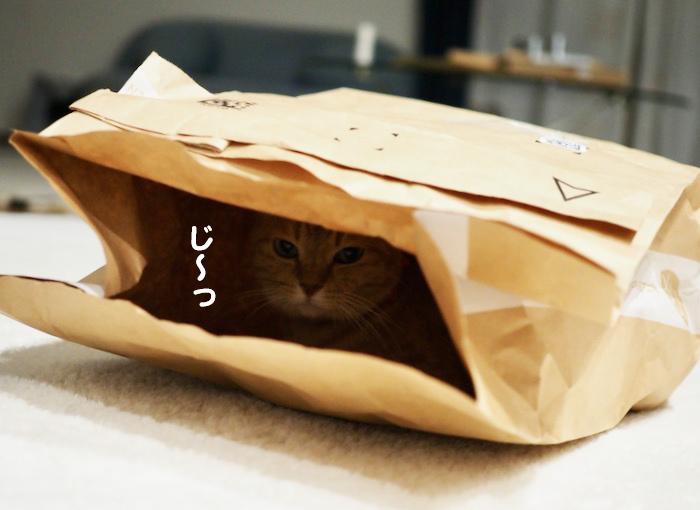 25日夕ブログ７