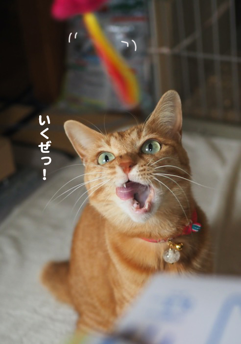 1日夜ブログ７