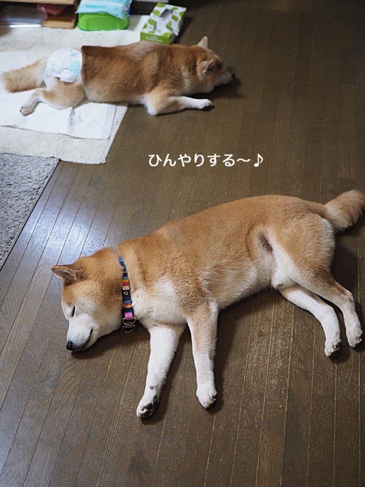 22日夜ブログ１