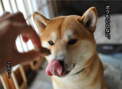 31日ブログ6.jpg