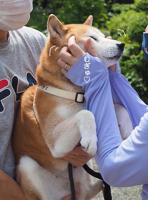 3日午後ブログ７