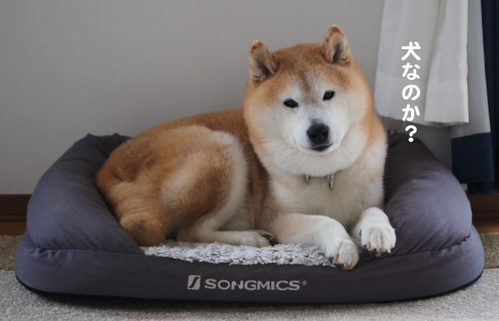 23日ブログ４