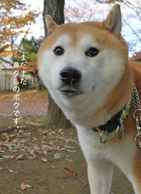 23日ブログ8