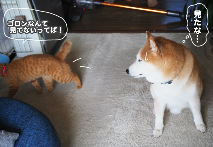 14日ブログ５