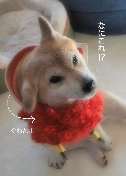 3日ブログ６
