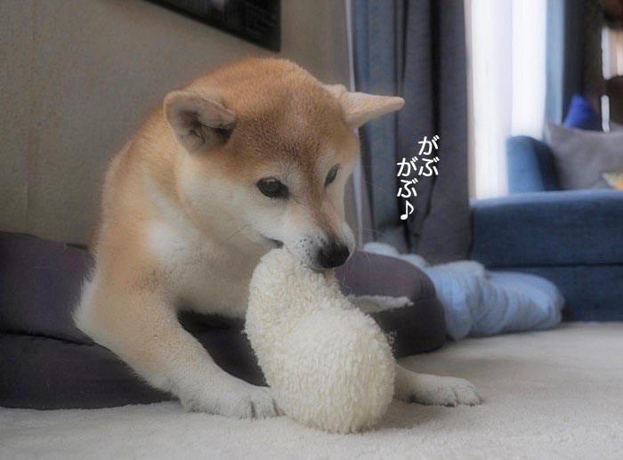 8日夜ブログ２