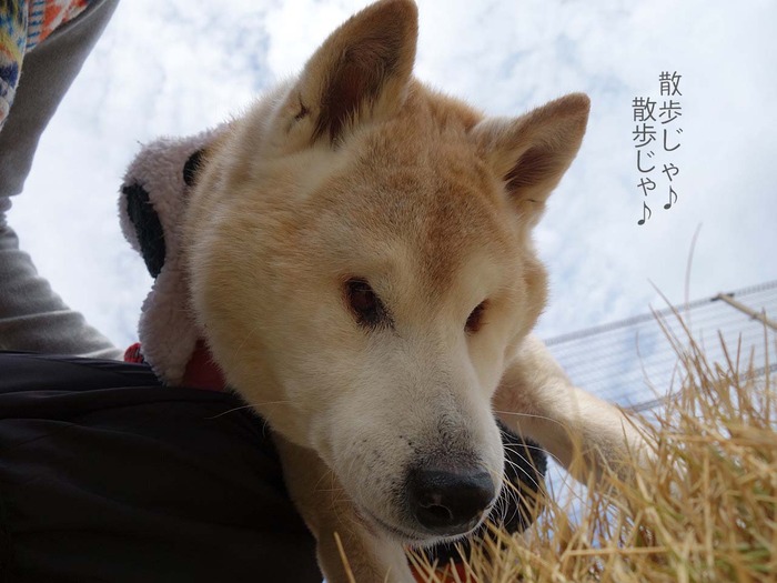 23日ブログ8