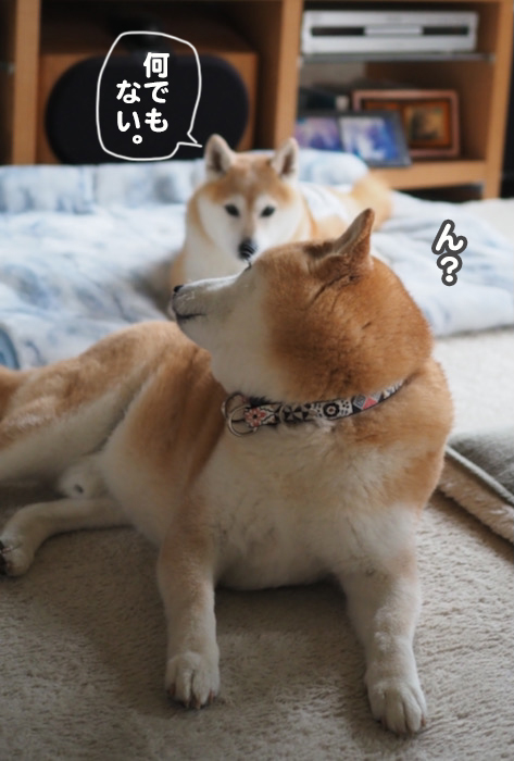 26日ブログ５