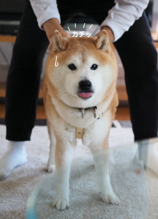 10日ブログ３