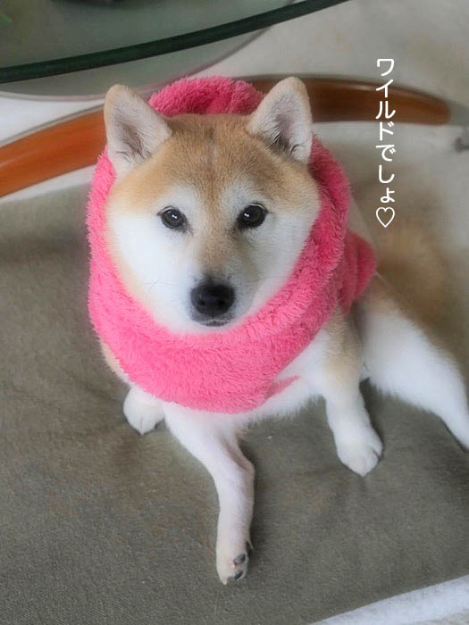 9日午後ブログ４