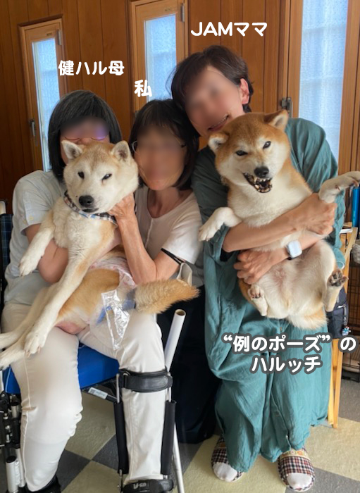 12日ブログ１６