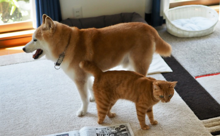 24日ブログ1