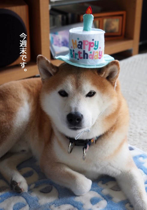 21日夜用３