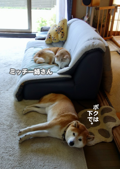 5日夕用９