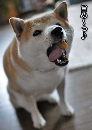 19日ブログ７.jpg