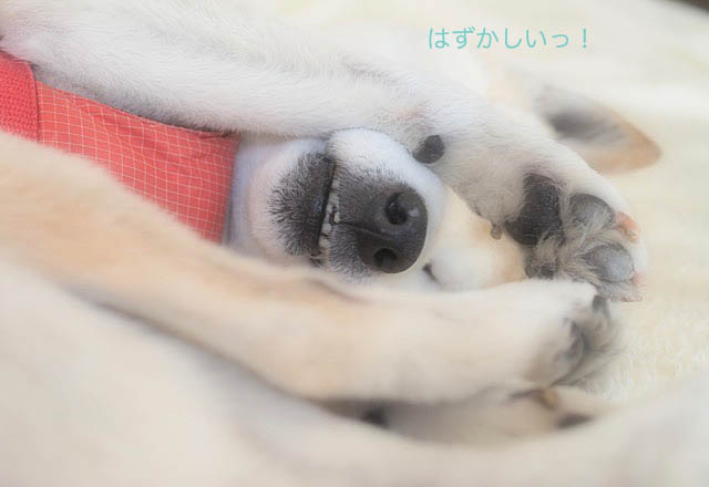 9日ブログ6
