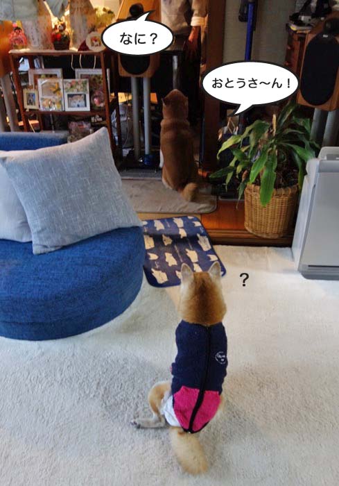 11日ブログ２