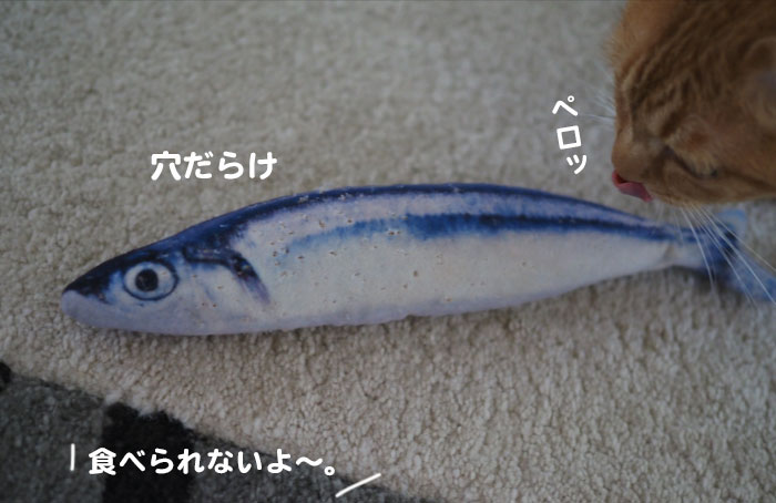 9日夕ブログ２